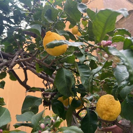 Appartamento Vicino Al Mare Moneglia Ngoại thất bức ảnh